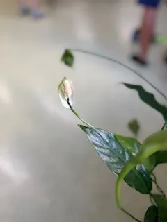 ボクシングで健康増進