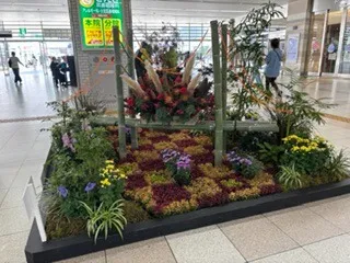 今日もありがとうございます